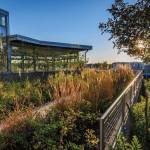 This Week at Phipps: Oct. 6 – 12