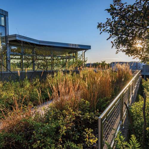 This Week at Phipps: Oct. 6 – 12