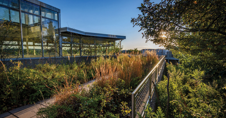 This Week at Phipps: Oct. 6 – 12