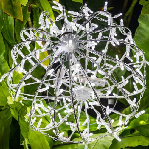 This Week at Phipps: Dec. 2 – 8