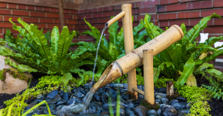 This Week at Phipps: Feb. 3 – 9