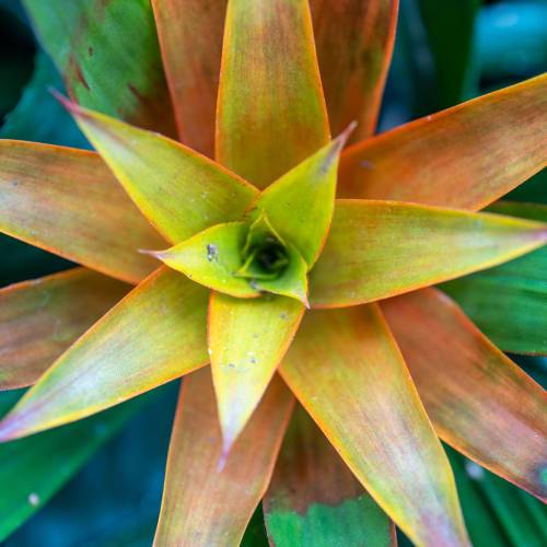 This Week at Phipps: March 17 – 23