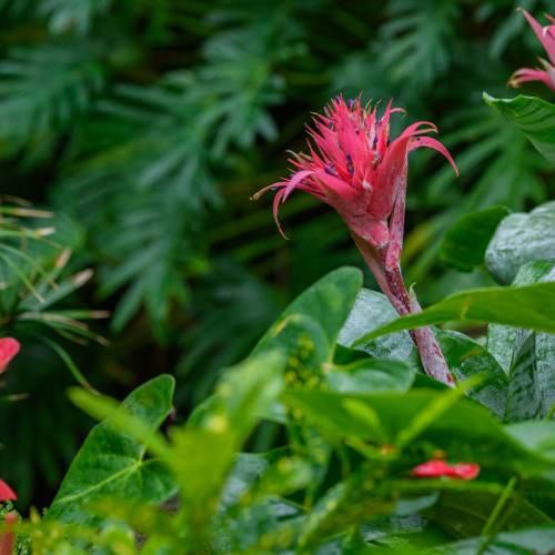 This Week at Phipps: March 2 – 8