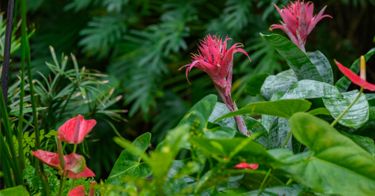 This Week at Phipps: March 2 – 8