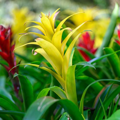 This Week at Phipps: March 3 – 9