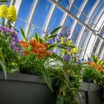This Week at Phipps: March 30 – April 5