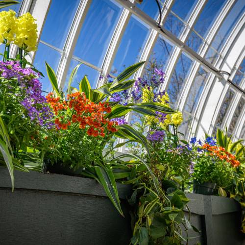 This Week at Phipps: March 30 – April 5