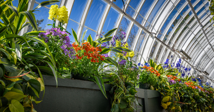 This Week at Phipps: March 30 – April 5