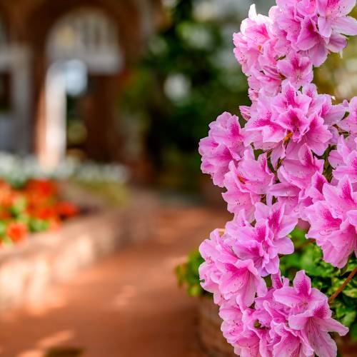 This Week at Phipps: April 13 – 19