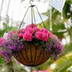This Week at Phipps: April 14 – 20