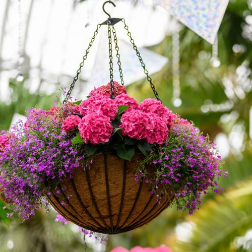This Week at Phipps: April 14 – 20