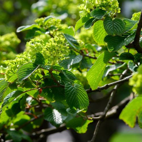 This Week at Phipps: April 20 – 26