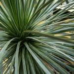 This Week at Phipps: April 21 – 27