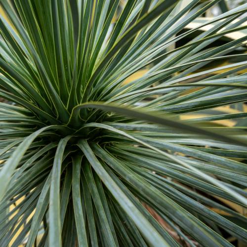 This Week at Phipps: April 21 – 27