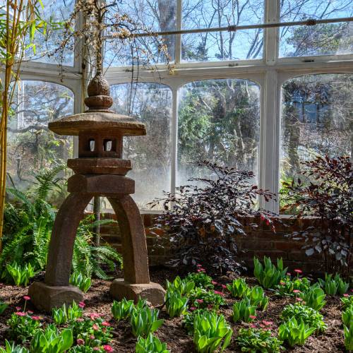 This Week at Phipps: April 6 – 12