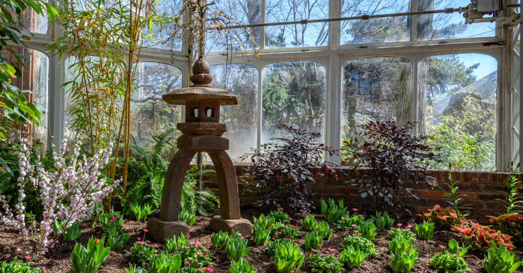 This Week at Phipps: April 6 – 12