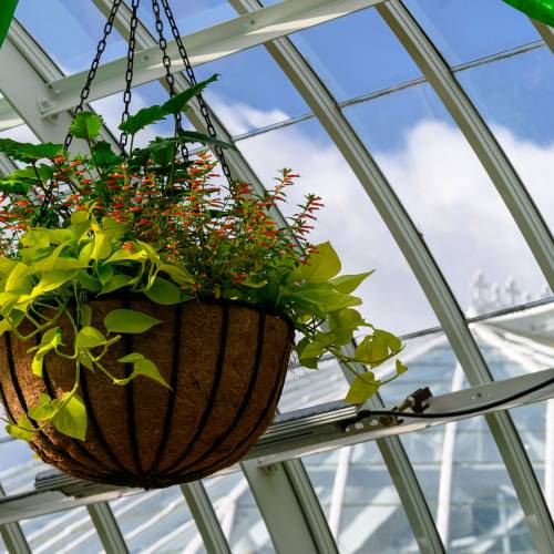 This Week at Phipps: May 26 – June 1