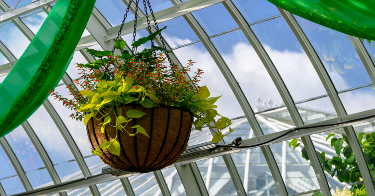 This Week at Phipps: May 26 – June 1