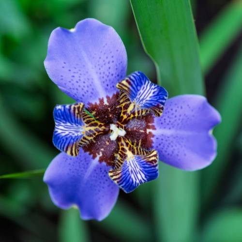 This Week at Phipps: May 5 – 11
