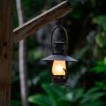 This Week at Phipps: June 16 – 22