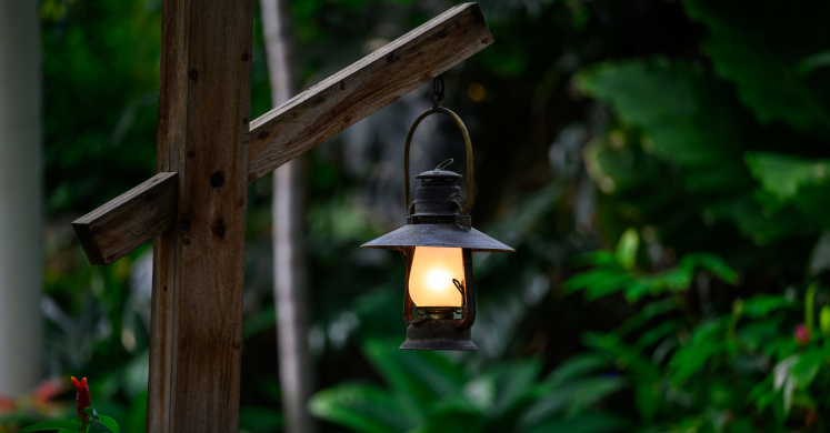 This Week at Phipps: June 16 – 22 This Week at Phipps: June 16 – 22