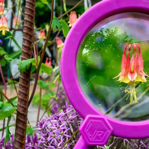 This Week at Phipps: June 2 – 8