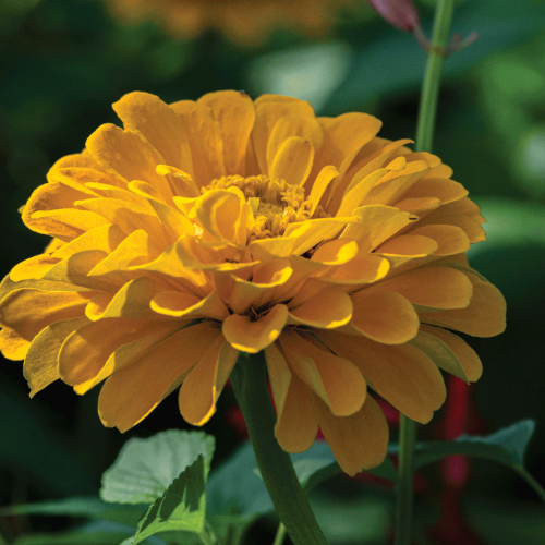 This Week at Phipps: June 3 – 9