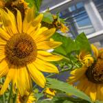 This Week at Phipps: July 20 – 26