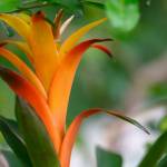 This Week at Phipps: July 21–27