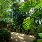 This Week at Phipps: Aug. 17 – 23
