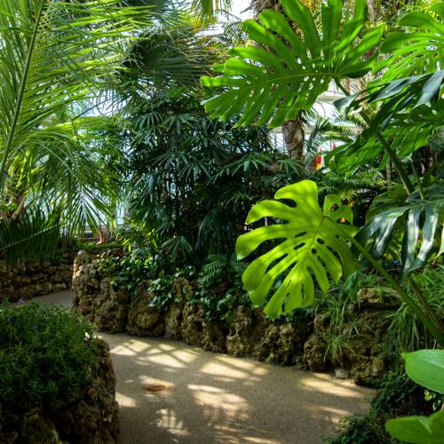This Week at Phipps: Aug. 17 – 23