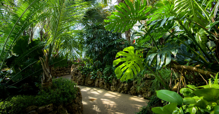 This Week at Phipps: Aug. 17 – 23