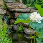 This Week at Phipps: Aug. 24 – 30