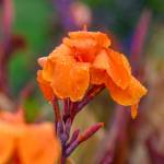 This Week at Phipps: Sept. 1 – 7