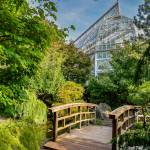 This Week at Phipps: Sept. 14 - 20