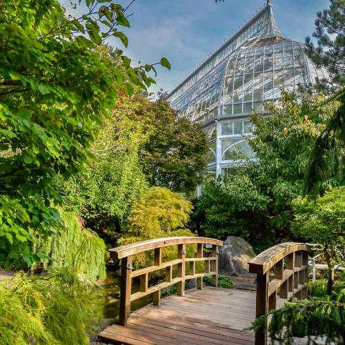 This Week at Phipps: Sept. 14 - 20