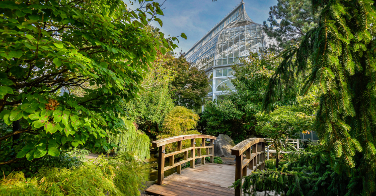 This Week at Phipps: Sept. 14 - 20