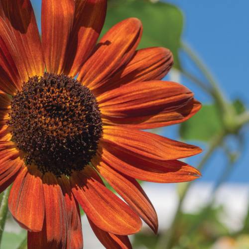 This Week at Phipps: Sept. 16 – 22