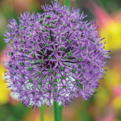 This Week at Phipps: Sept. 2 – 8