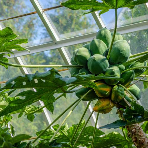 This Week at Phipps: Sept. 21 – 27