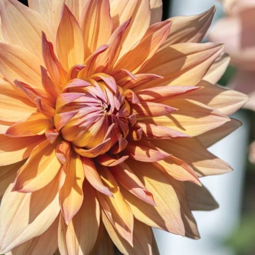 This Week at Phipps: Sept. 23 – 29