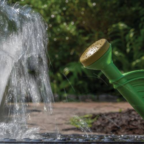 This Week at Phipps: Sept. 9 – 15