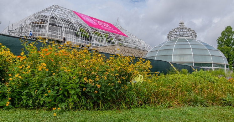 This Week at Phipps: Aug. 6– 12 This Week at Phipps: Aug. 6– 12