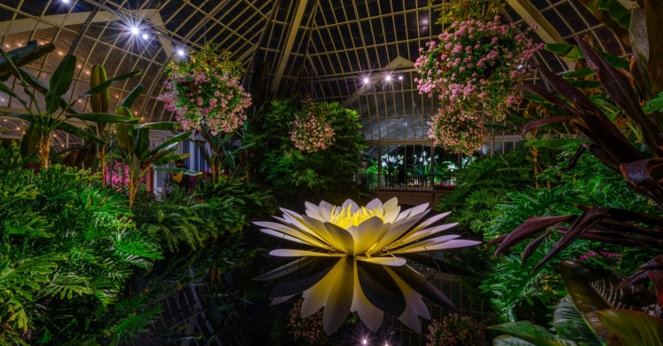 This Week at Phipps: Oct. 30 – Nov. 5 This Week at Phipps: Oct. 30 – Nov. 5