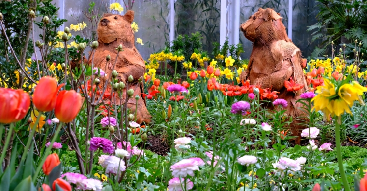 This Week at Phipps: April 10 – 16 This Week at Phipps: April 10 – 16