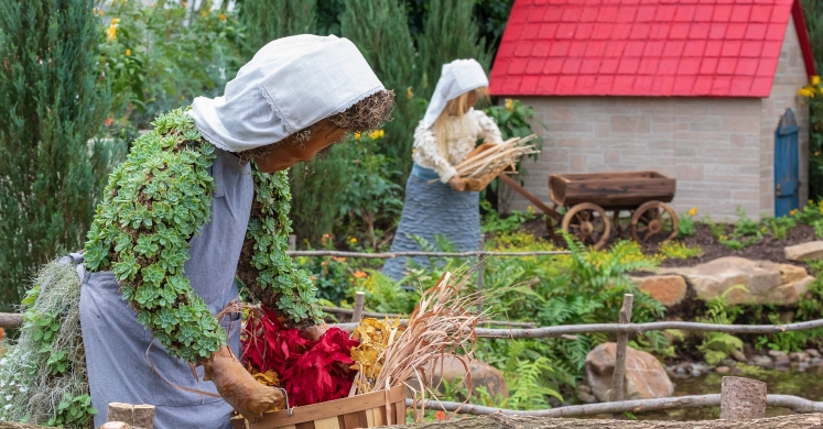 This Week at Phipps: May 6 – 12 This Week at Phipps: May 6 – 12