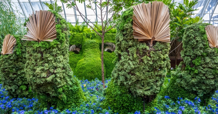 This Week at Phipps: Aug. 13 – 19 This Week at Phipps: Aug. 13 – 19