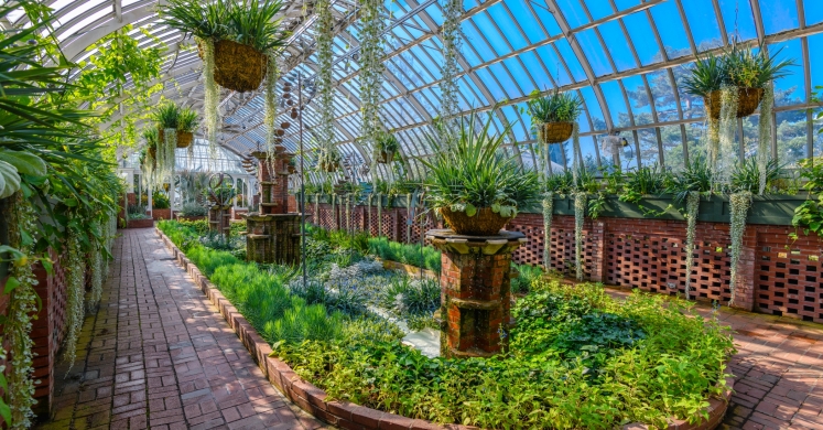This Week at Phipps: Sept. 3 – 9 This Week at Phipps: Sept. 3 – 9
