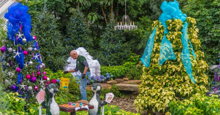 This Week at Phipps: Nov. 12 – 18 This Week at Phipps: Nov. 12 – 18