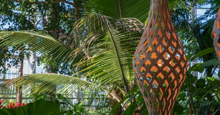 This Week at Phipps: Nov. 5 – 11 This Week at Phipps: Nov. 5 – 11